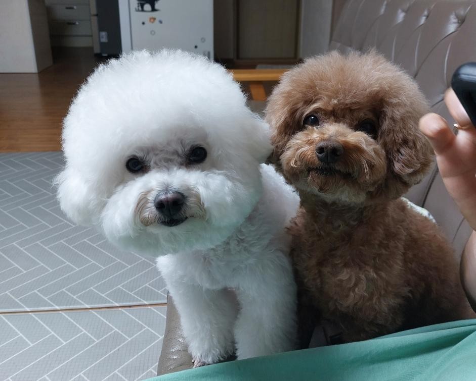 😜심심한 아침😜