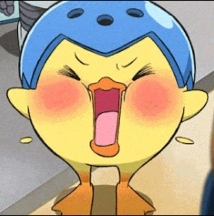 애정을 줄래요?