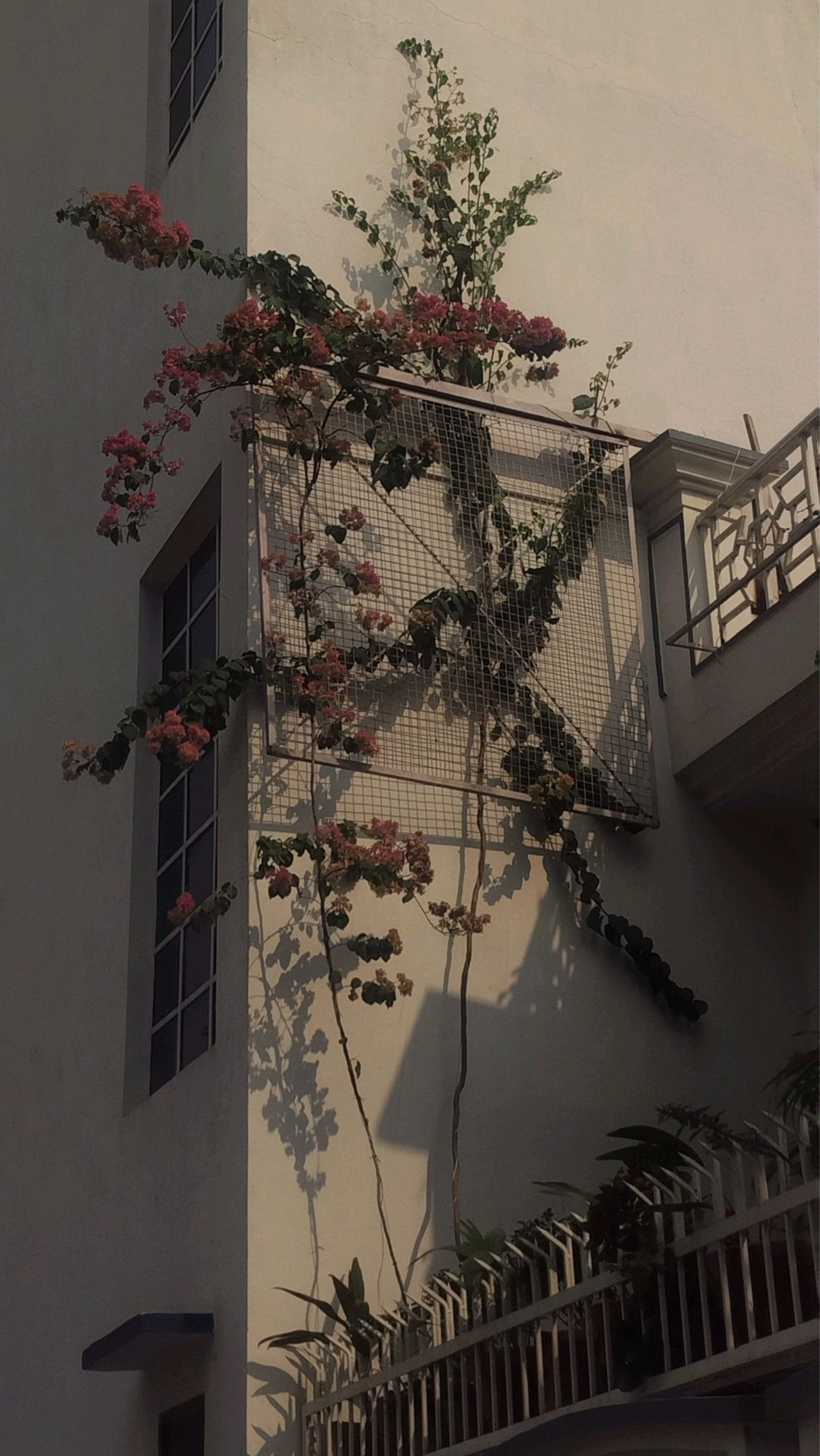 니가 조아~