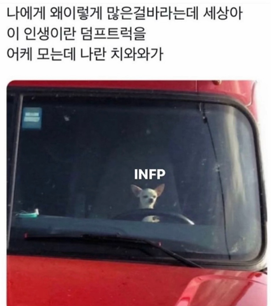 🔥꿀잼 라이브콜 소개팅🔥관전ok