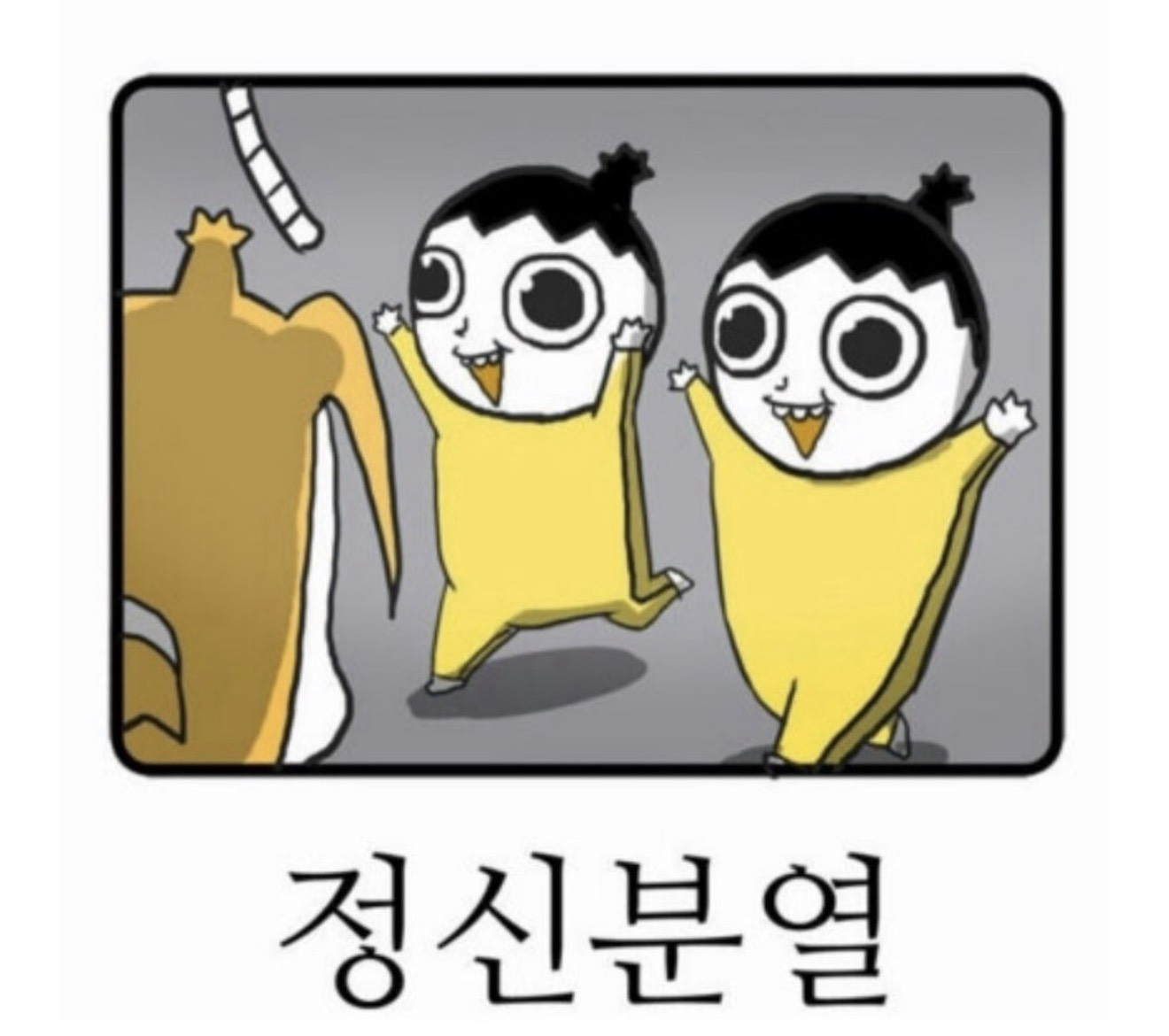 원숭이 구해요