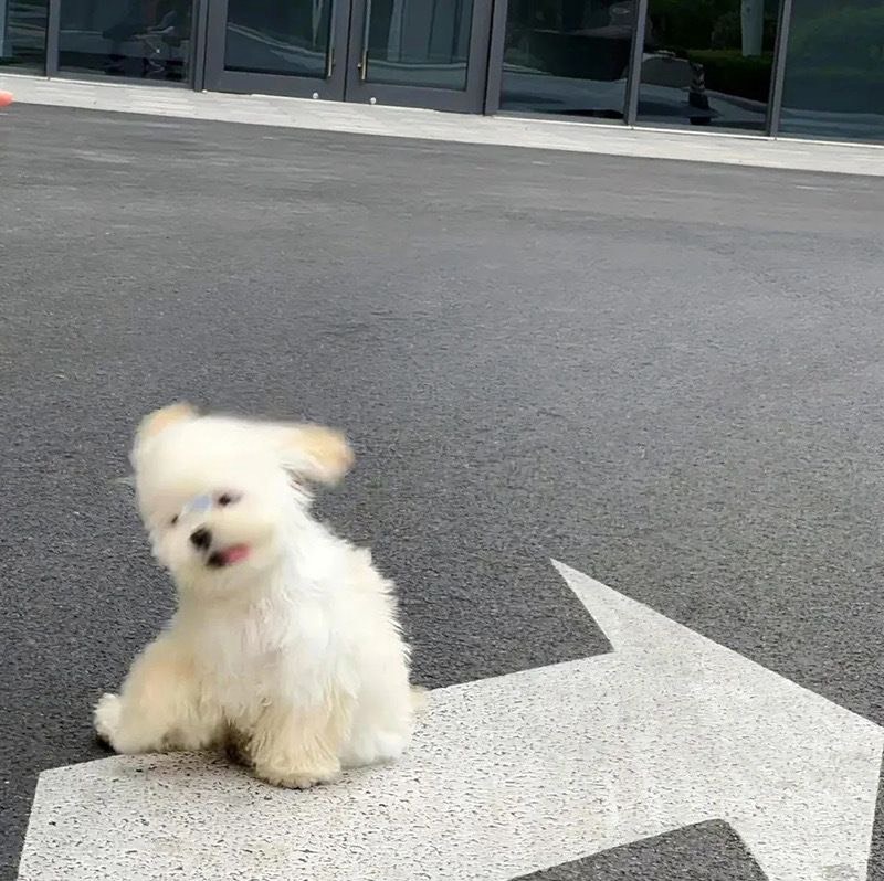 ㅁㅂㅇ