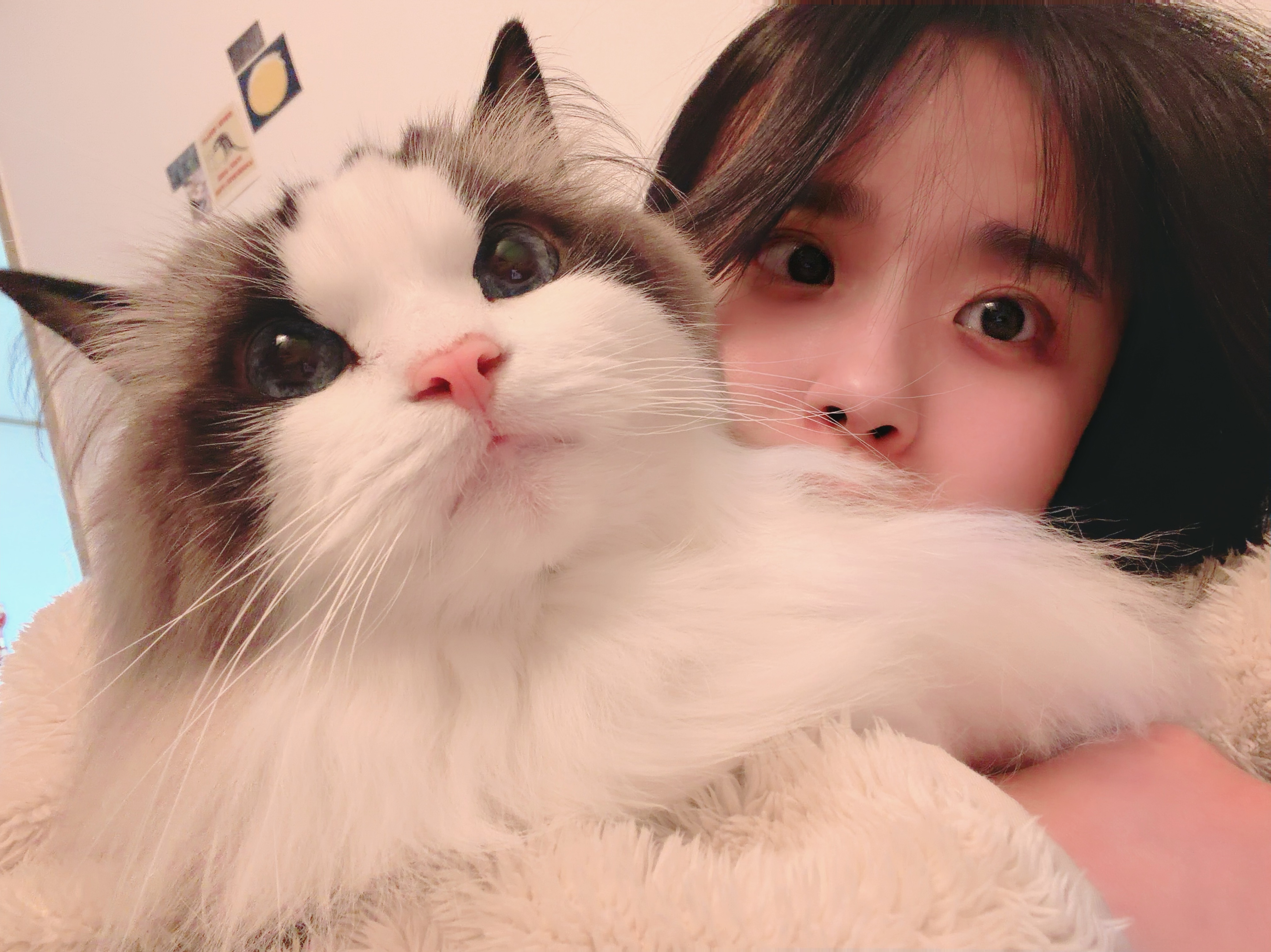 아무튼 니 취향임