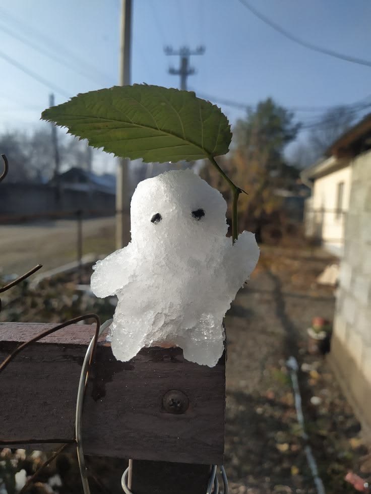 소통할께요🙏