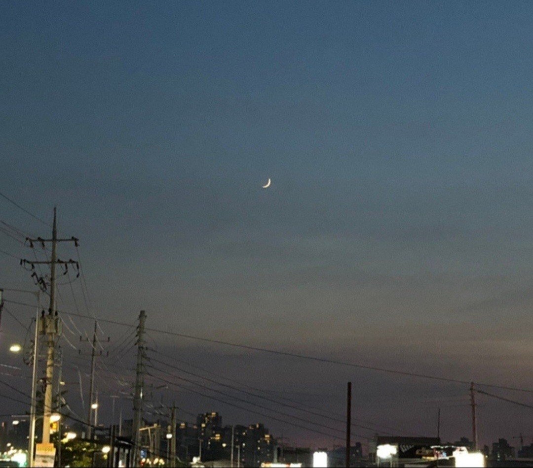 채밍 방송권 [ 🫧 ]