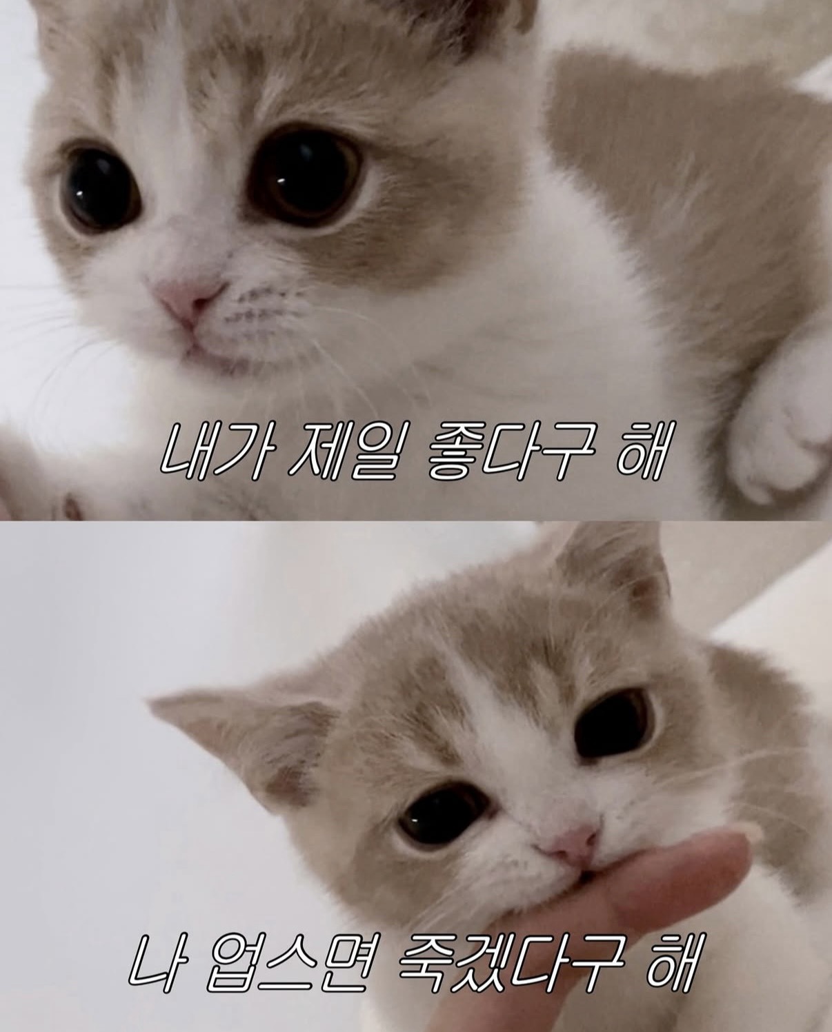 방송 켜조라