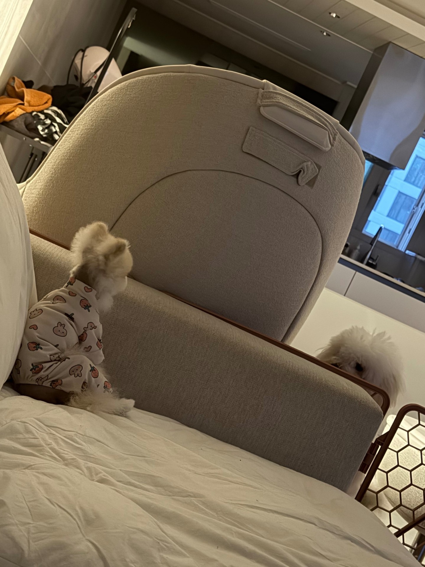 # 소통할래 렉스