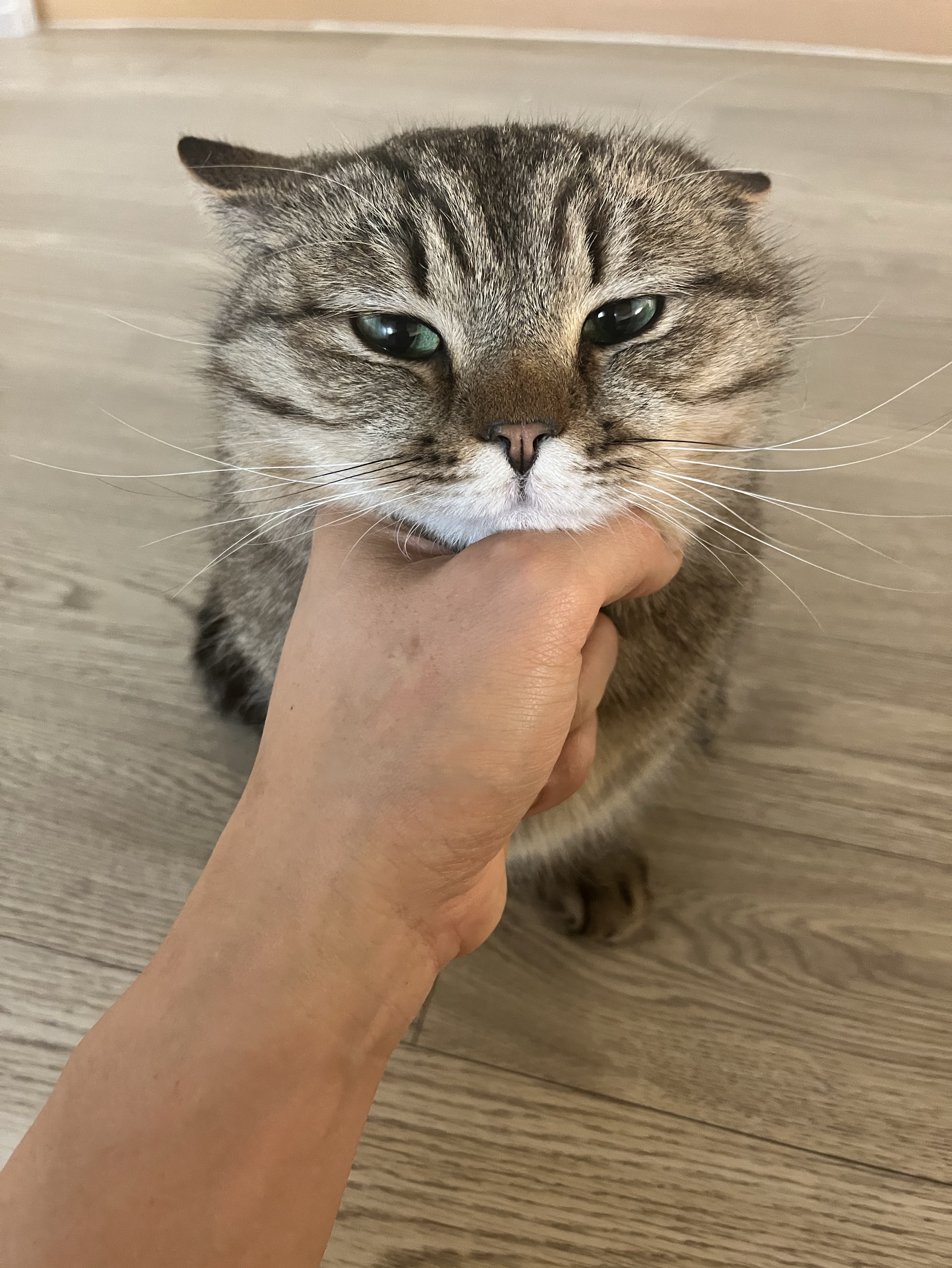 킬 링 타 임