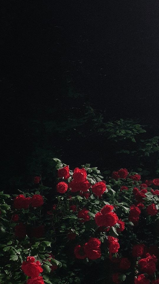 기타노래 연습