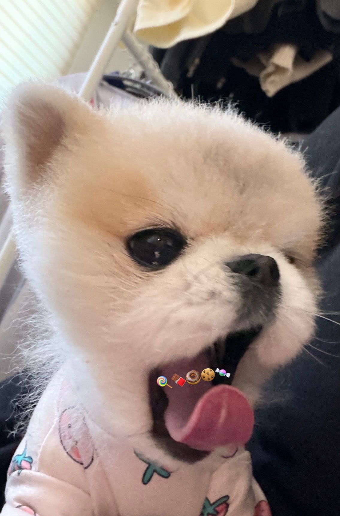 # 소통할래 렉스