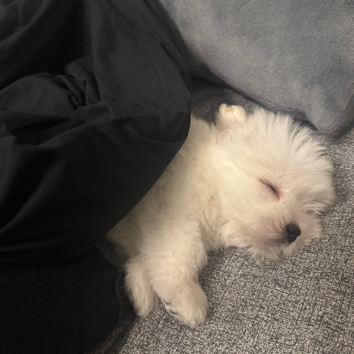 오늘도 많이 연결해줫따~ (터팬)