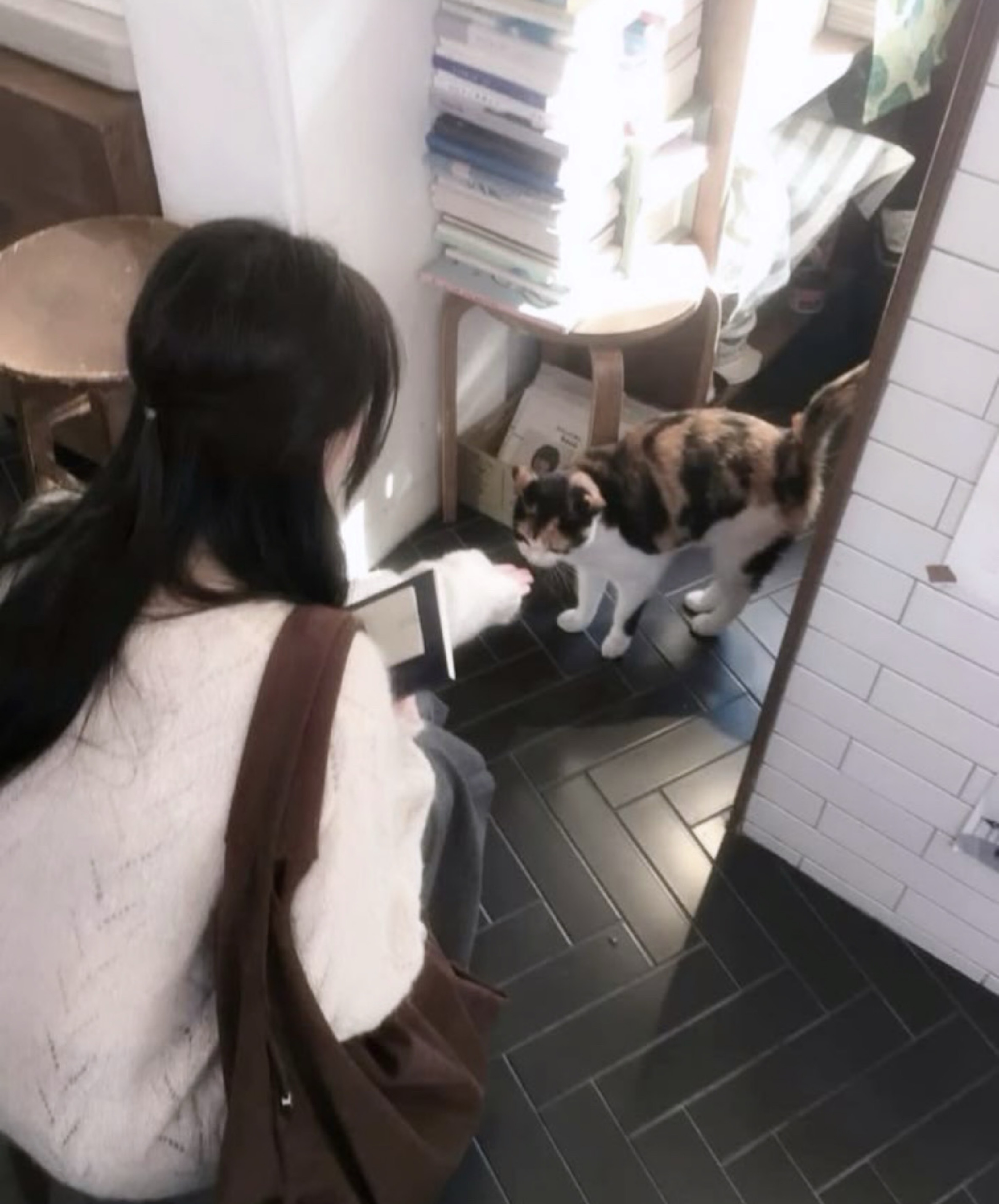 ㅁㅂㅇ