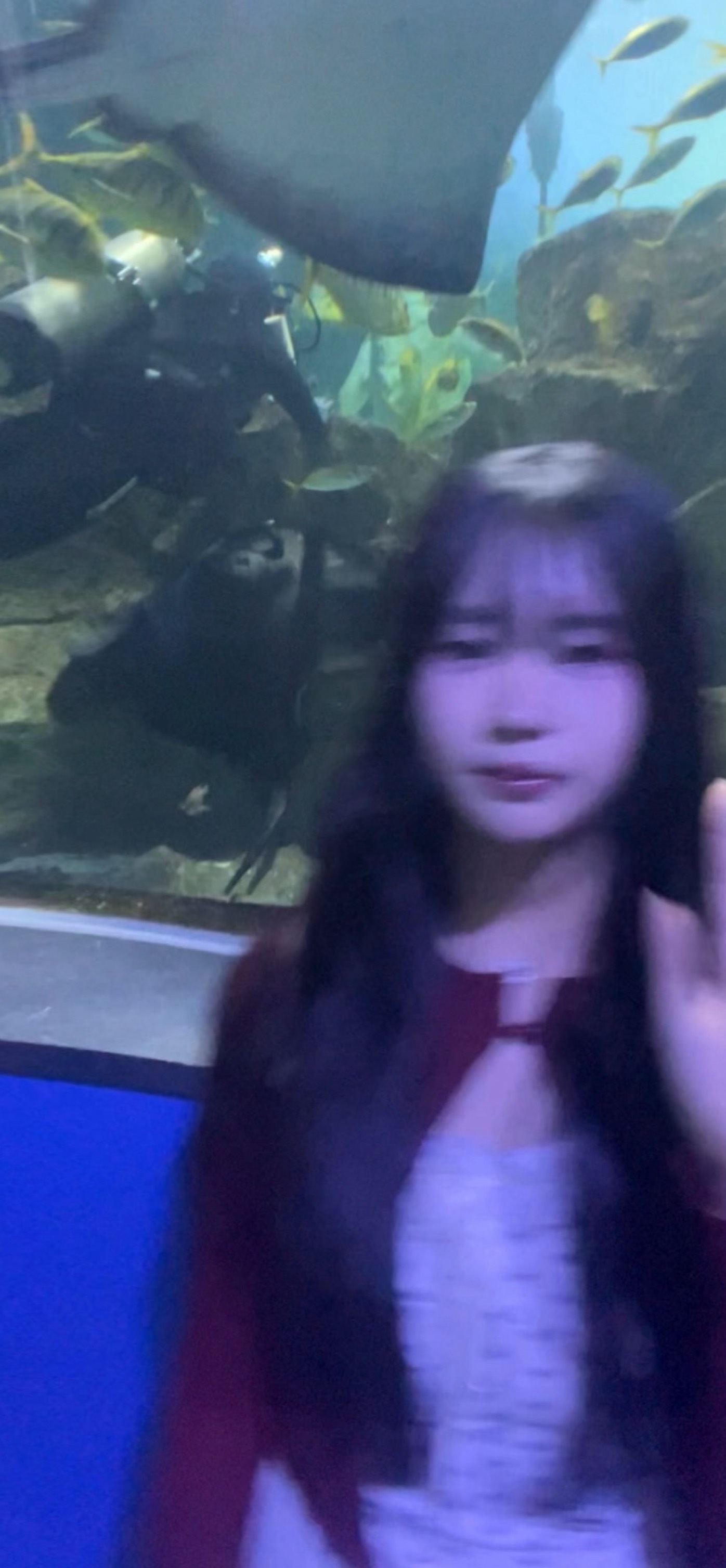 +6일차)갈방업자나 인누와요