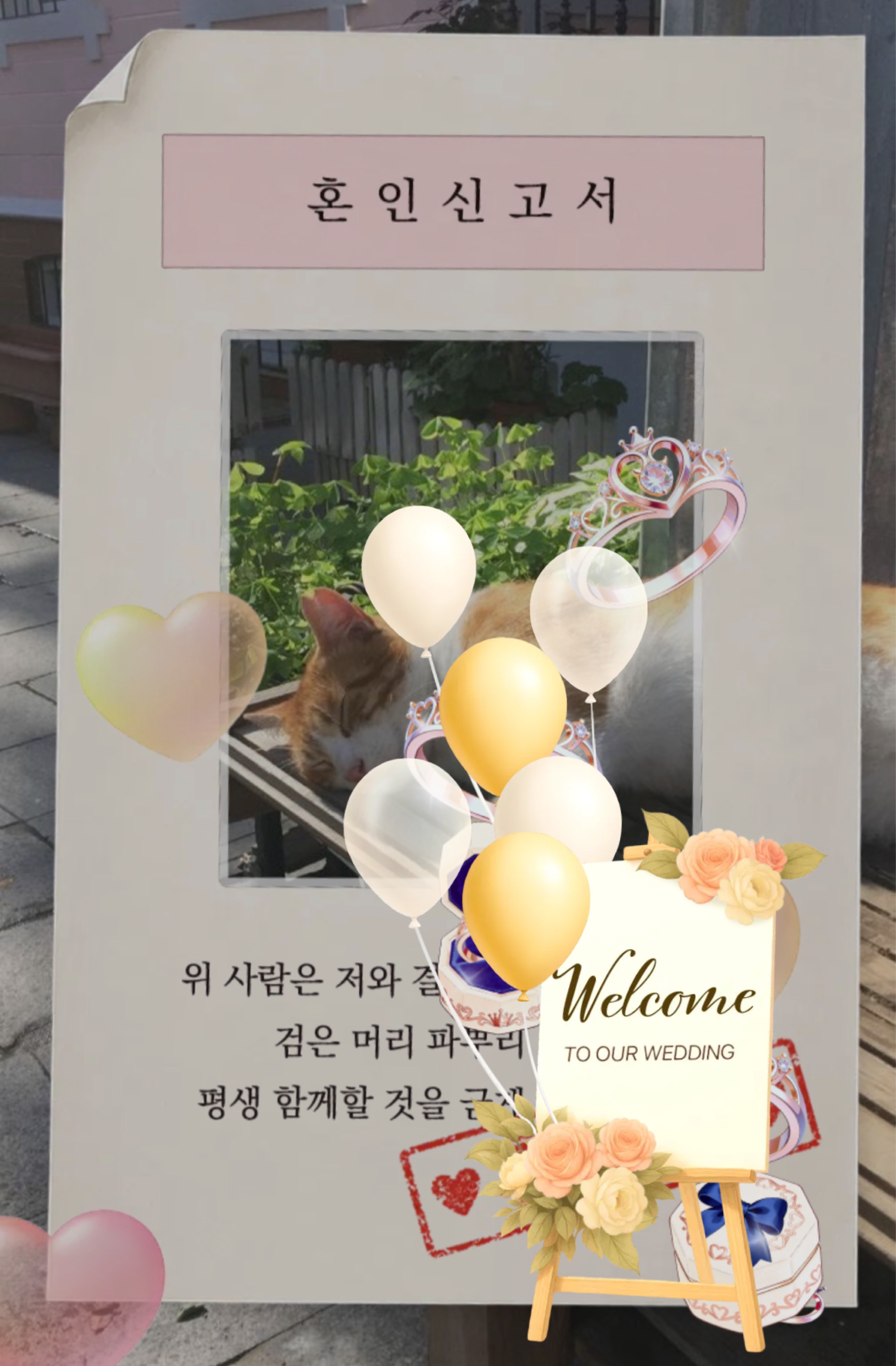 잔잔한방송  🙇‍♂️ 탐방감사합니다