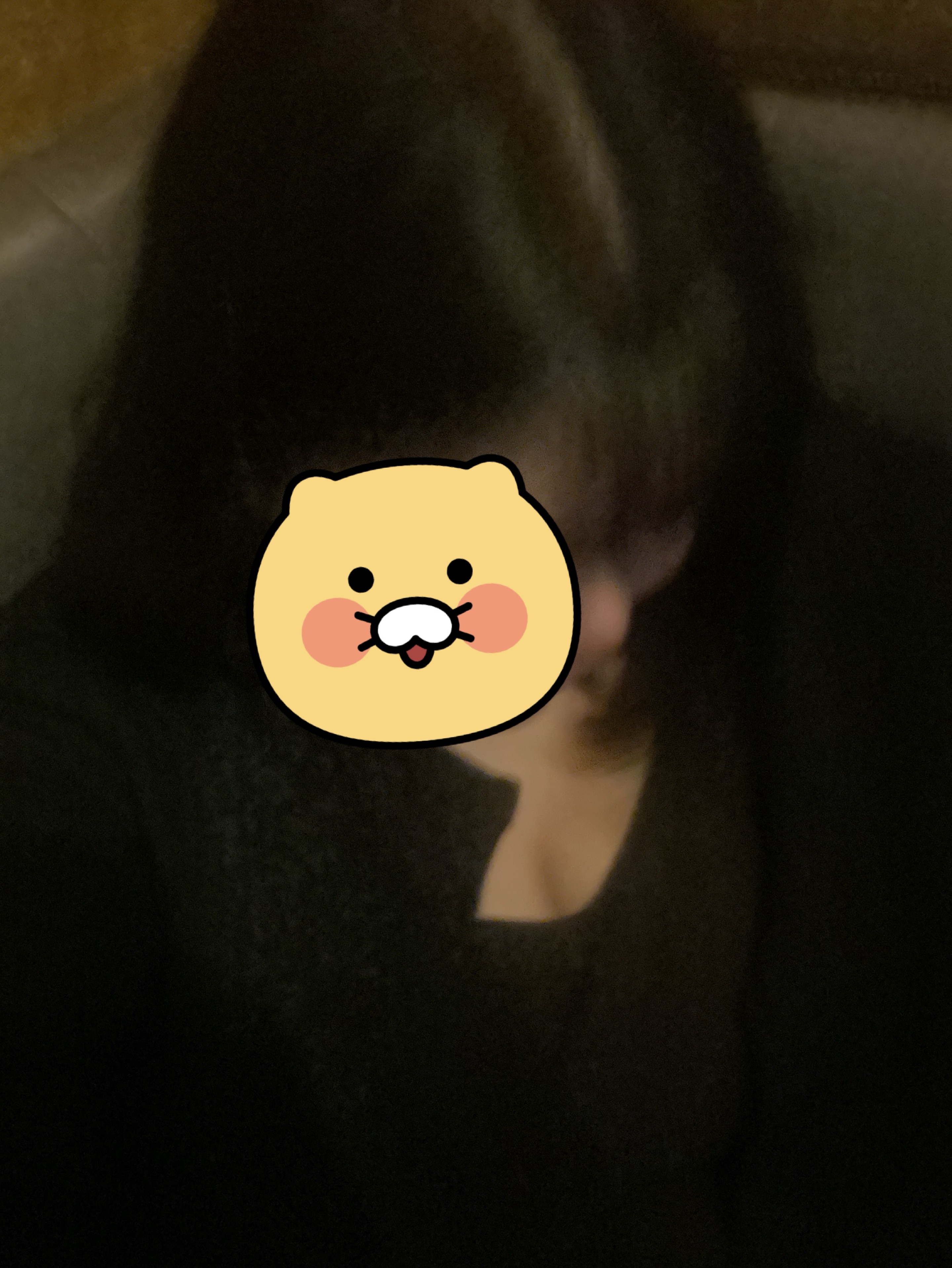 미안해 미워해 아직 널 좋아해