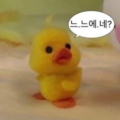 레전드잠방처음해봄