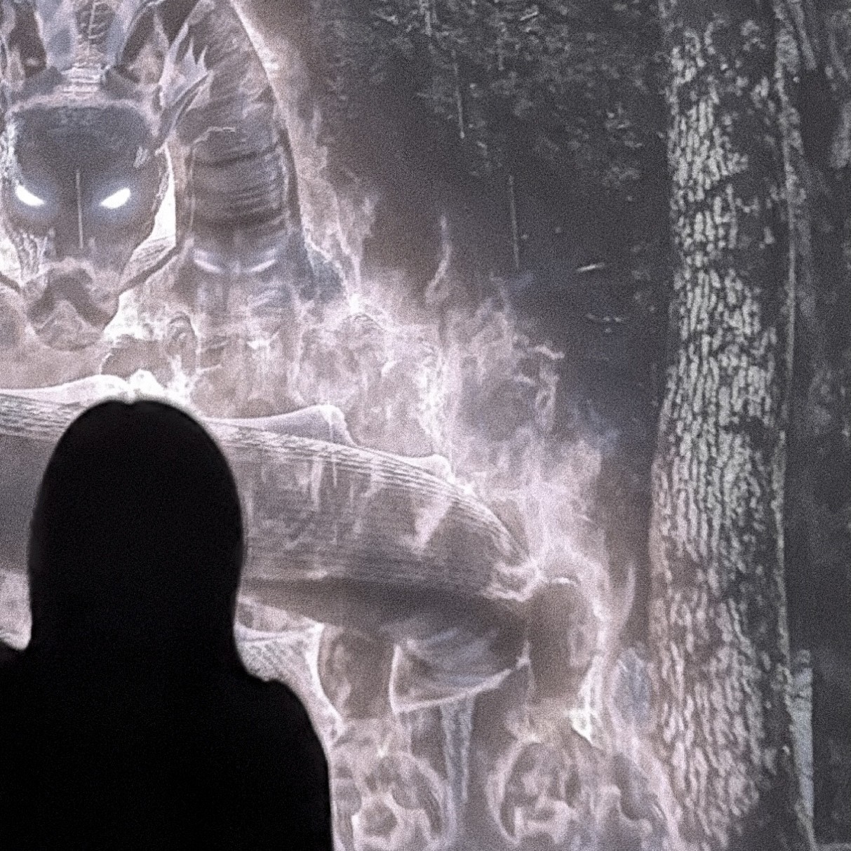 zzz