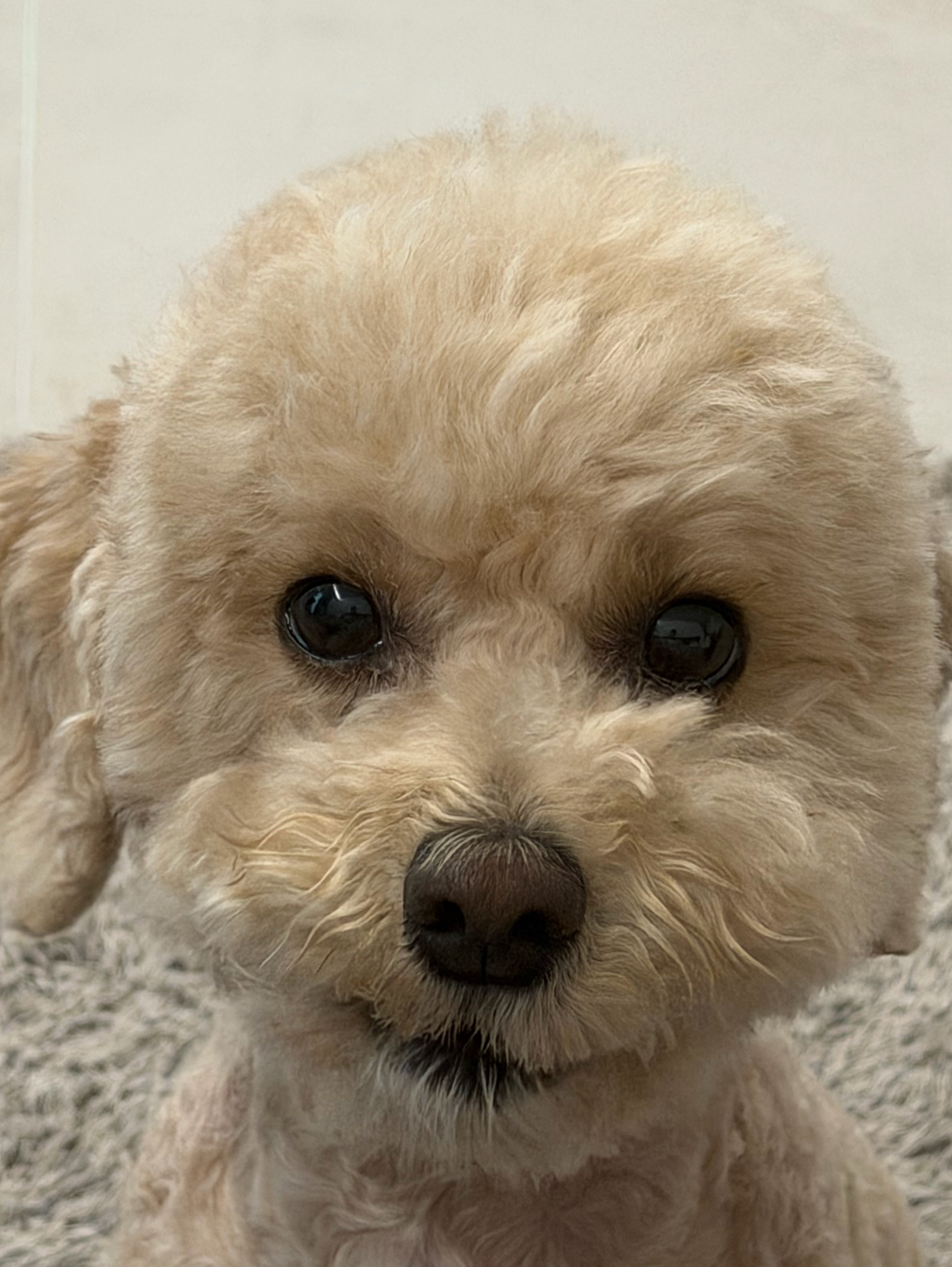 퇴근길 힐링 중저음
