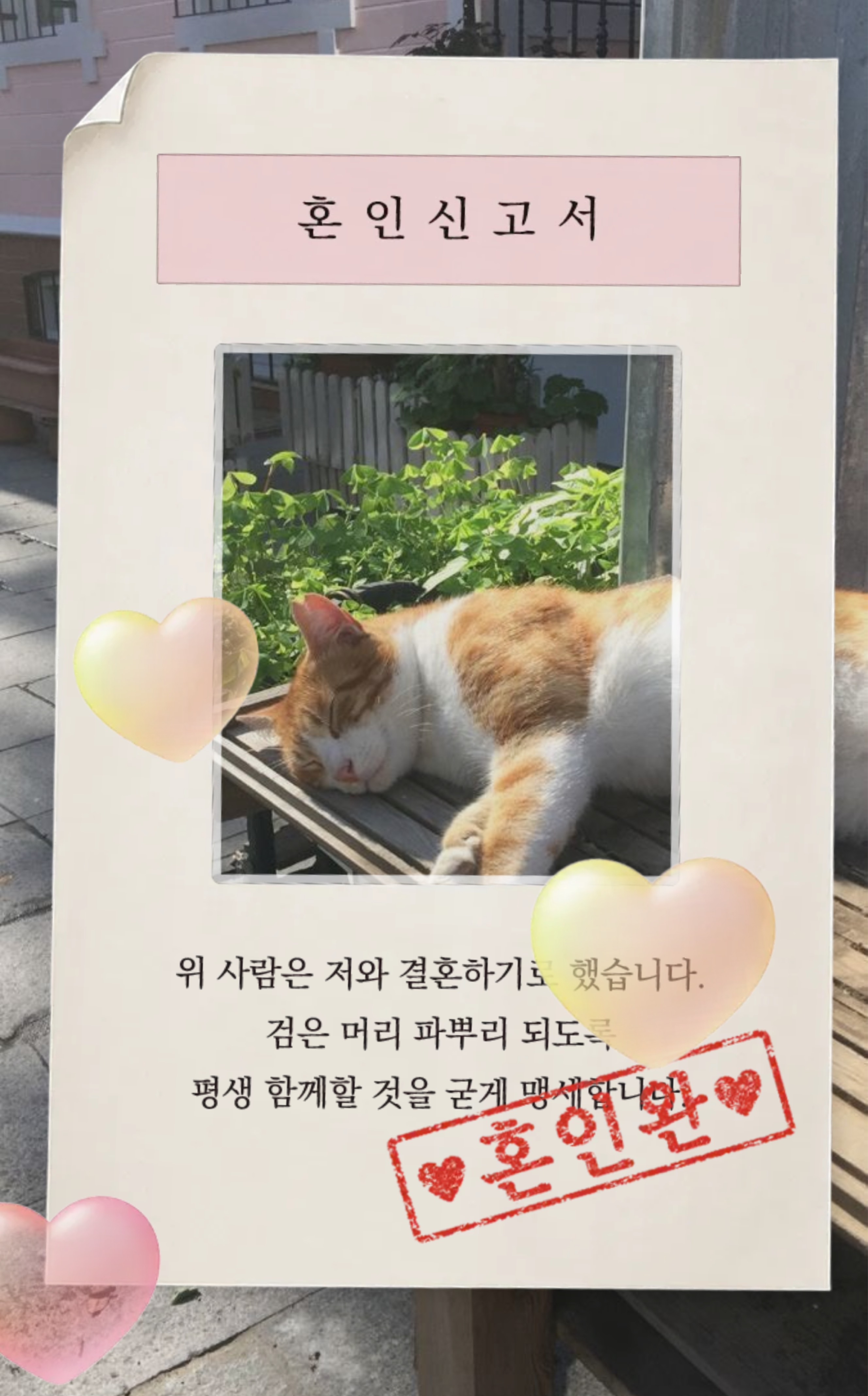 잔잔한방송  🙇‍♂️ 탐방감사합니다