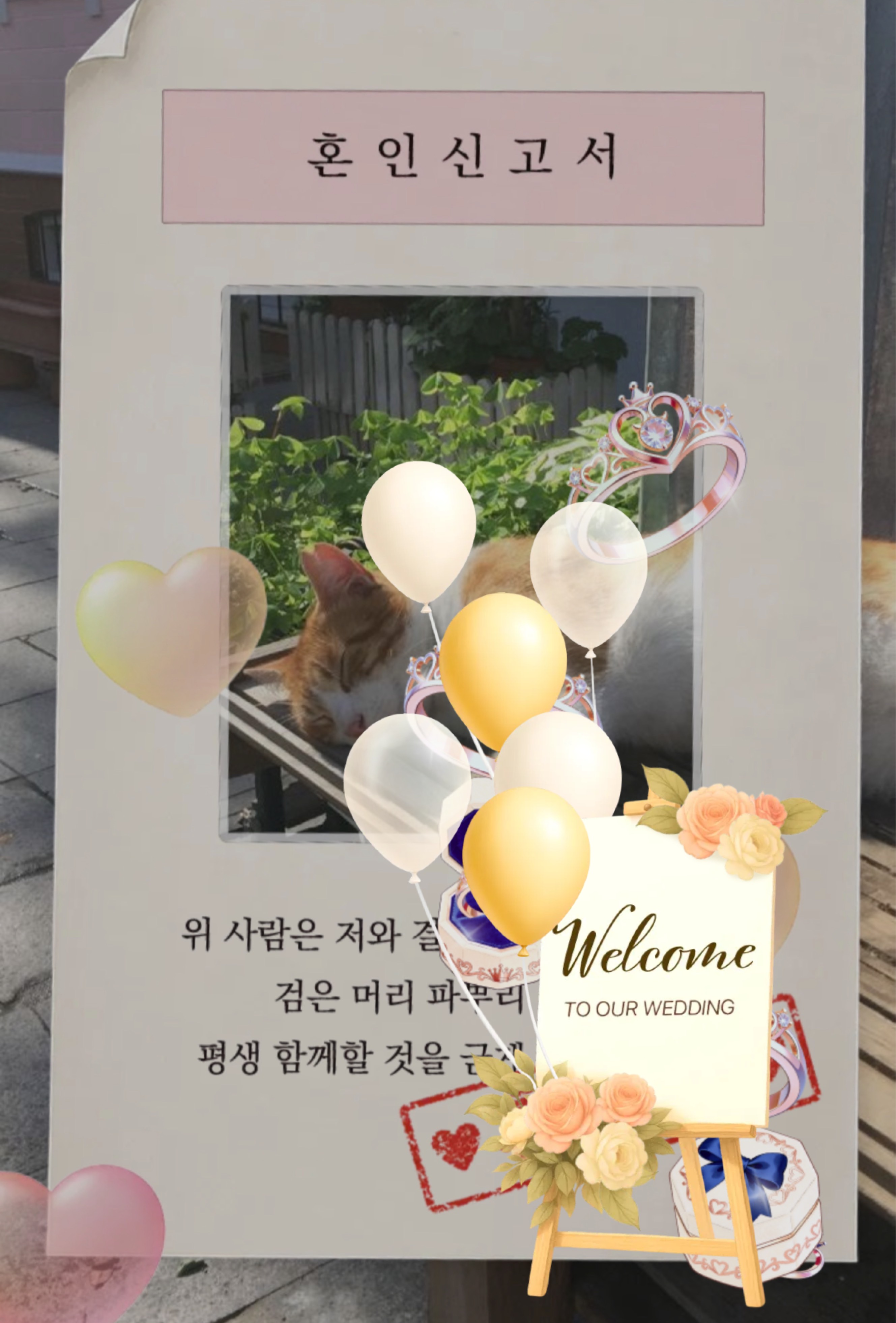 잔잔한방송  🙇‍♂️ 탐방감사합니다