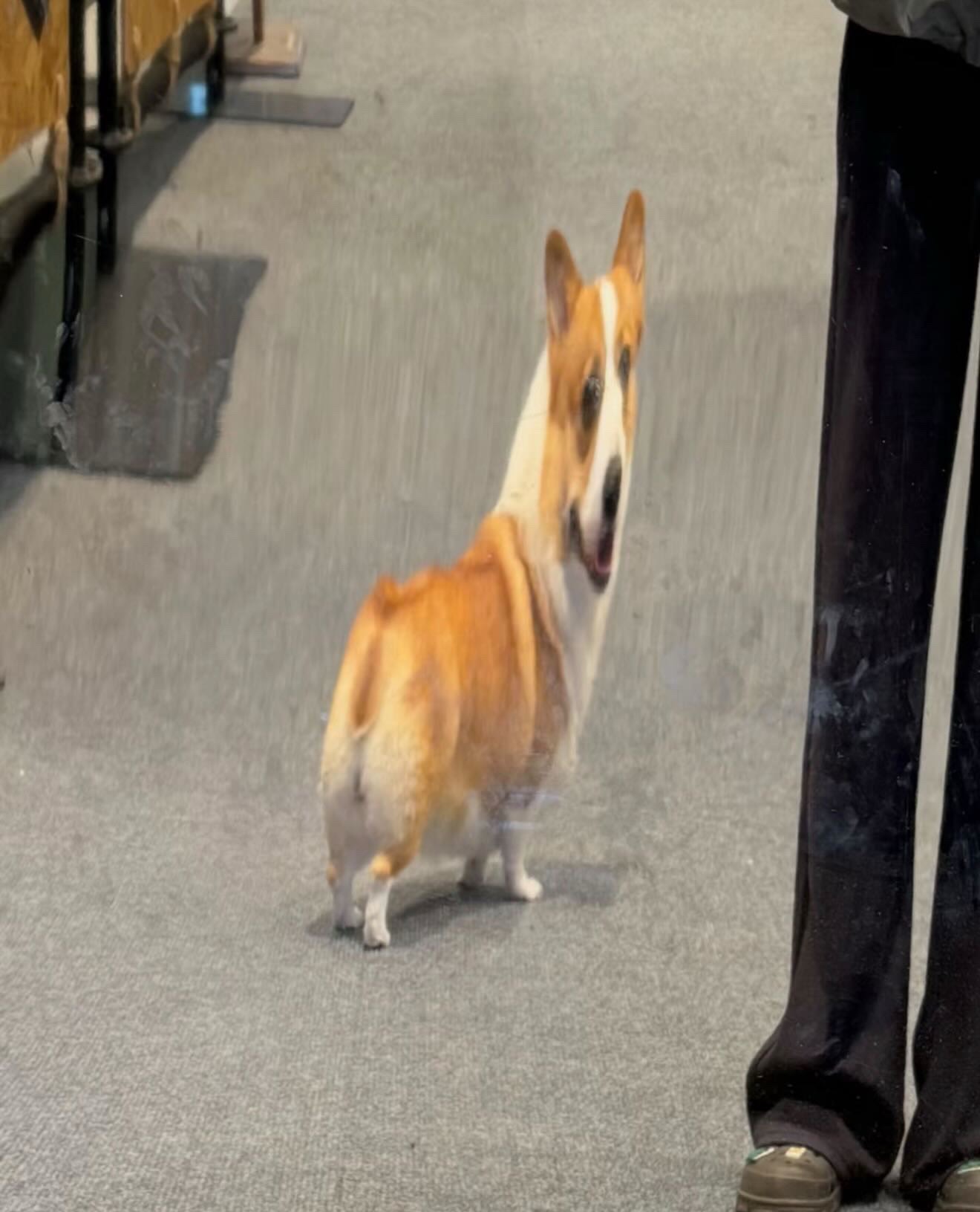 ㅇㅇㅇㅇㅇㅇㅇㅇ