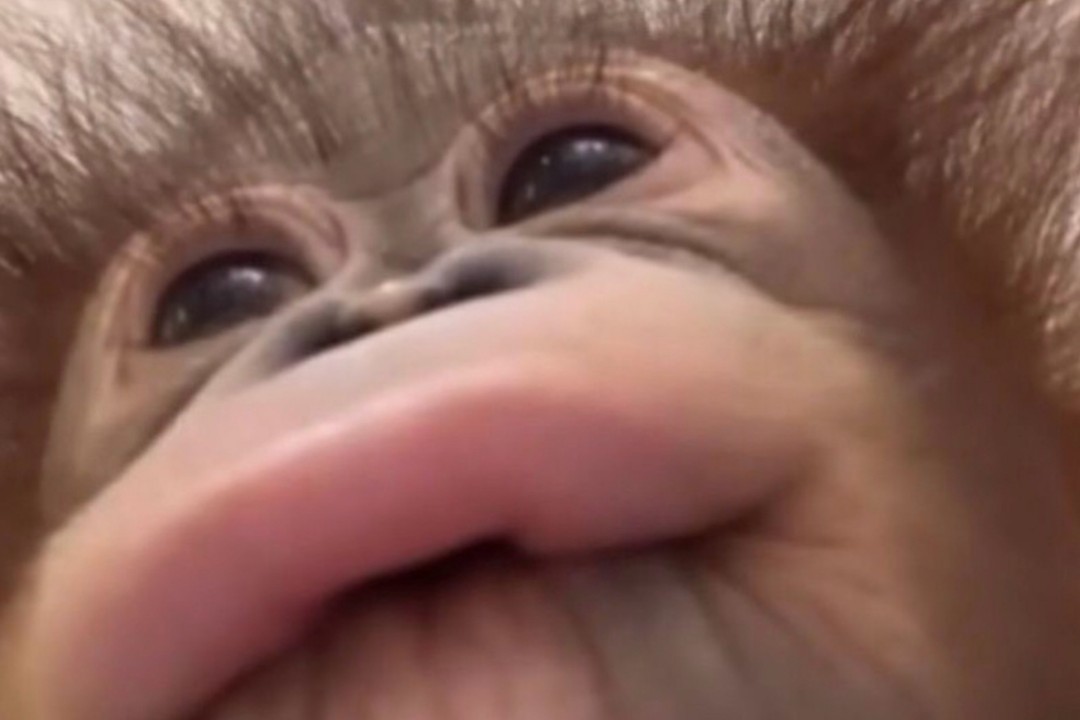 ㅎㅇ.