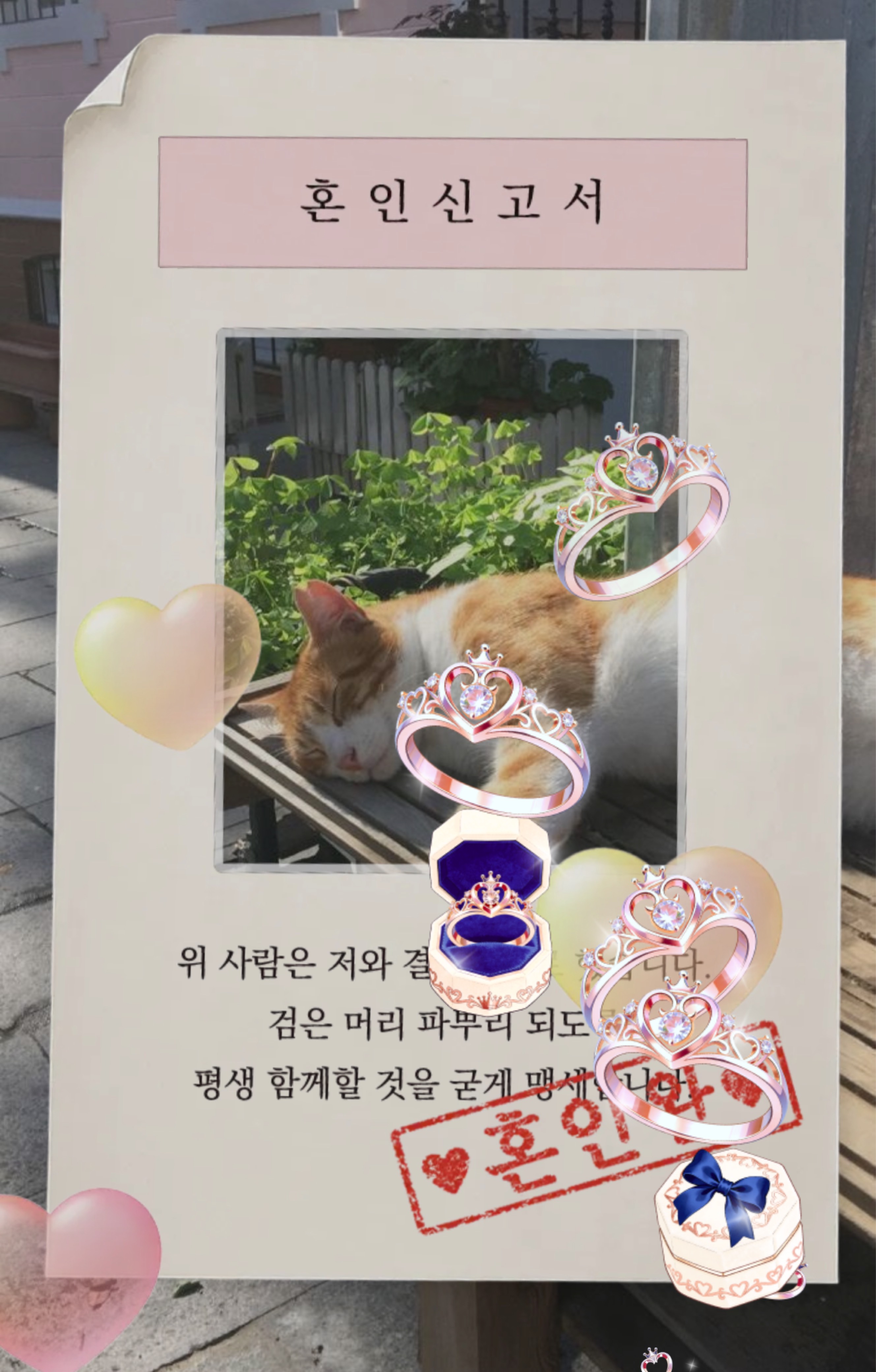 잔잔한방송  🙇‍♂️ 탐방감사합니다