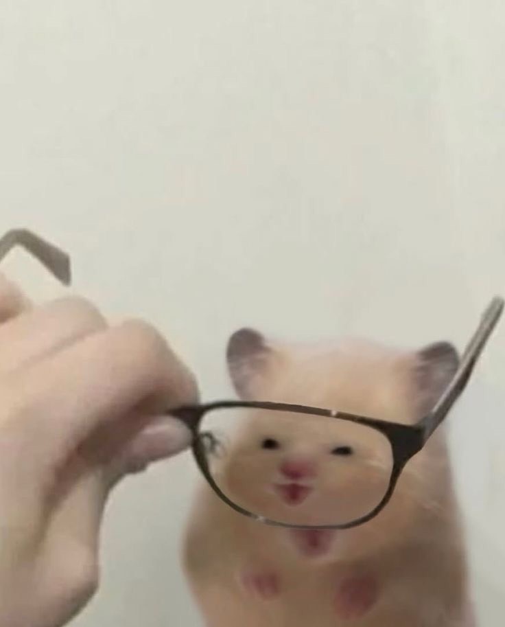 심시매