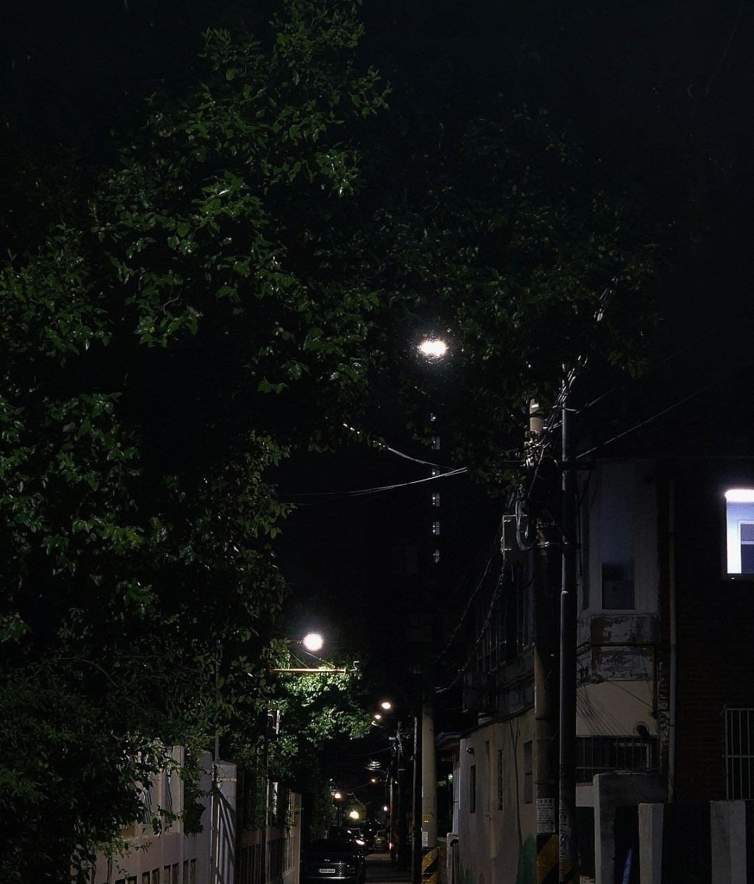 심심해요