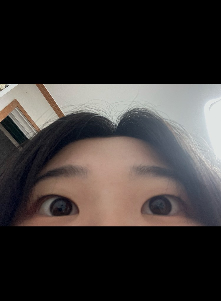 방송 유기
