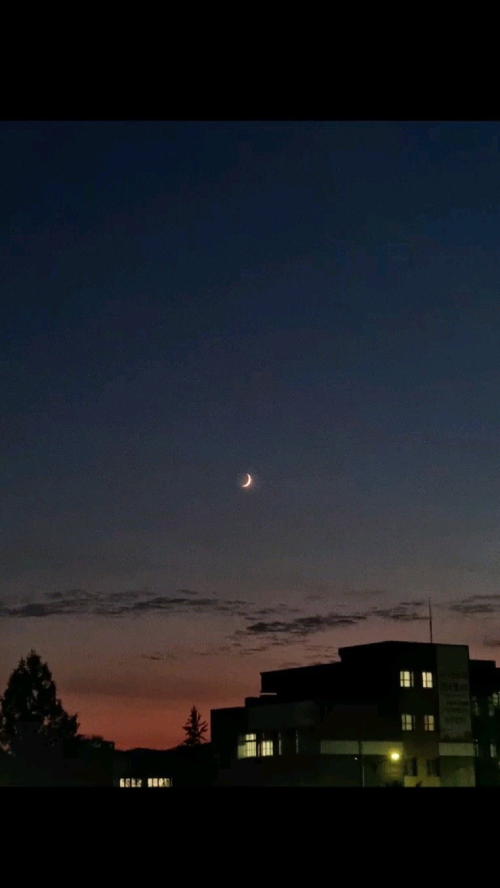 잔잔한 토크 탐방환영🙇