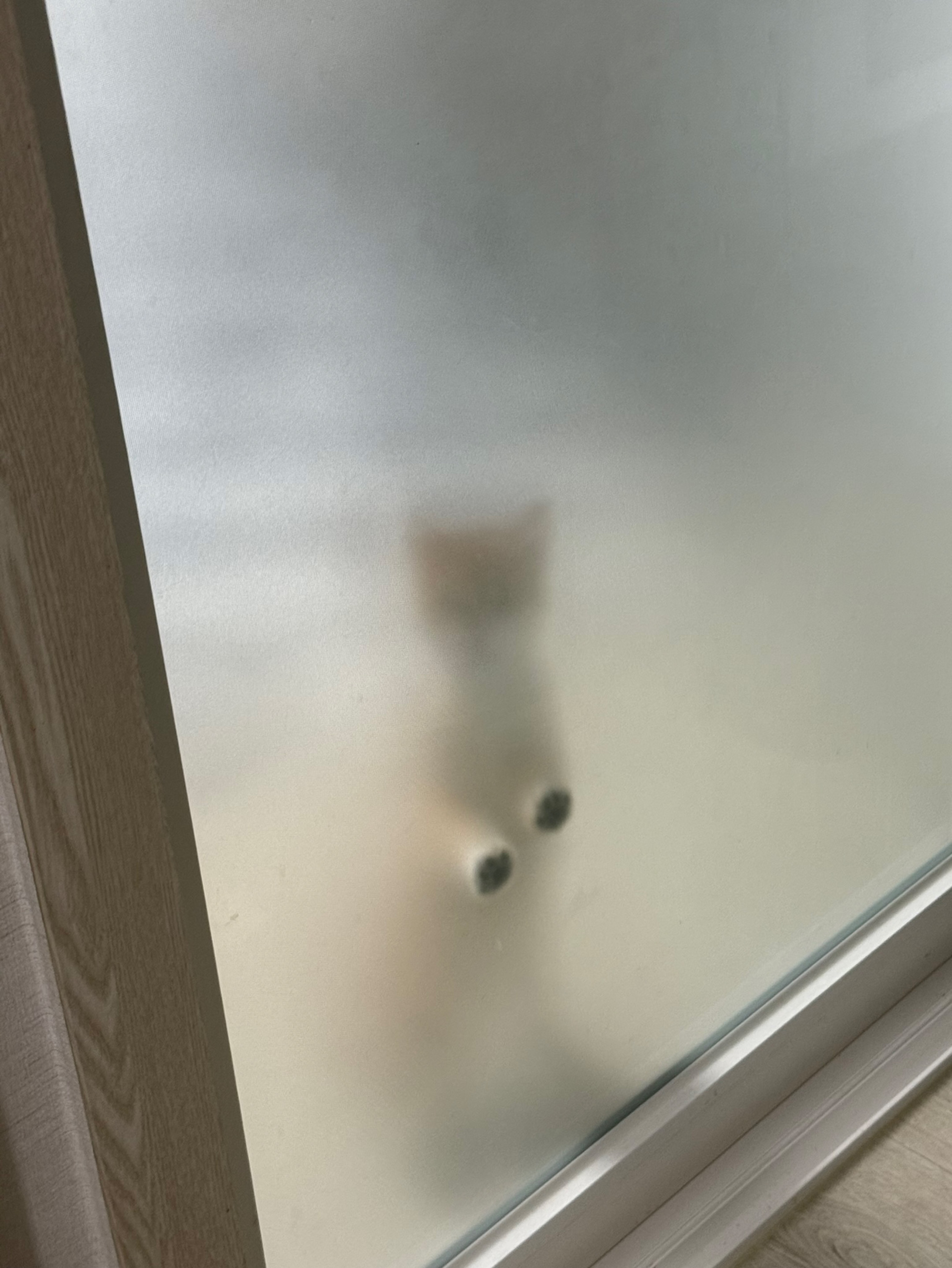 꽃게탕