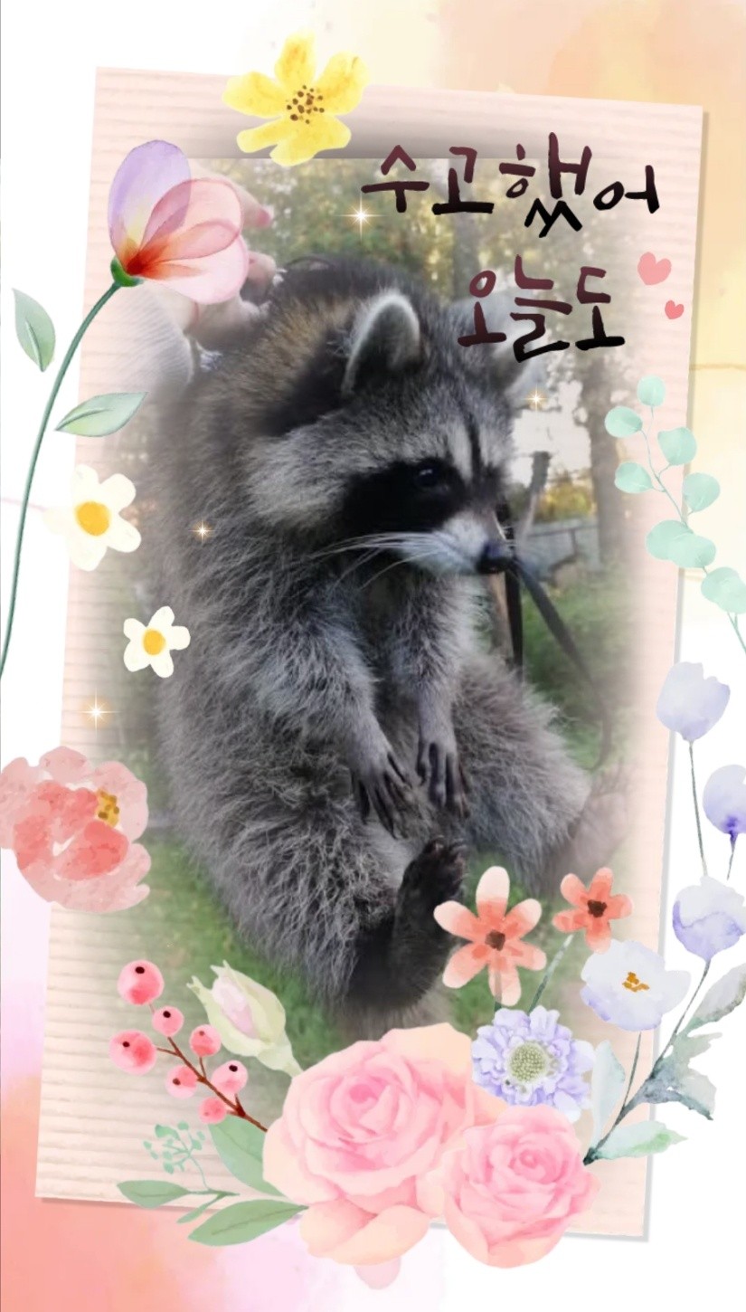🌳모여봐요 , 사랑의 숲 🩷