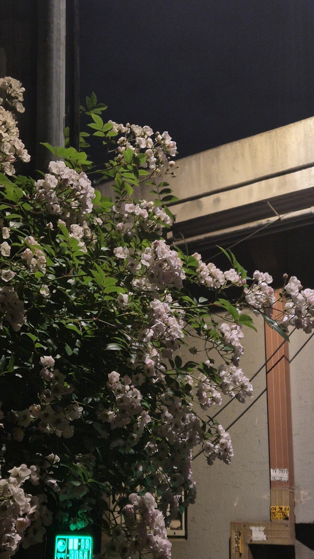 수다 떨어요!