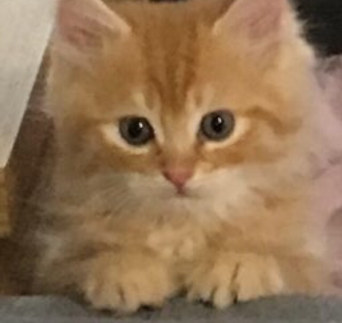 잠깐 켰어요
