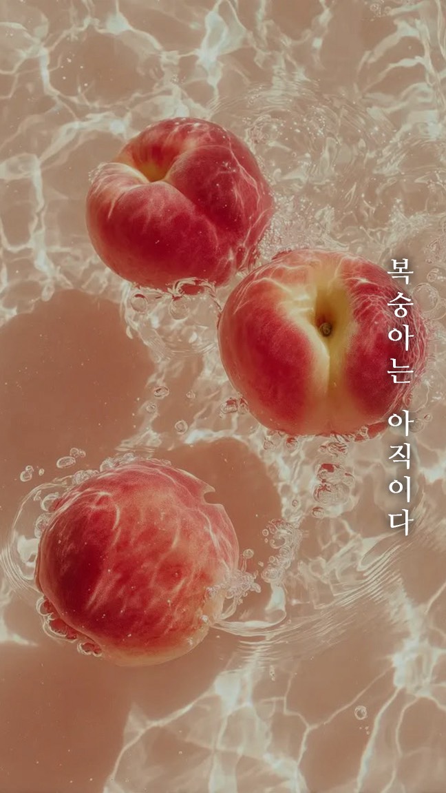 묘운☁️°⊹ 뜻밖의 서점📖