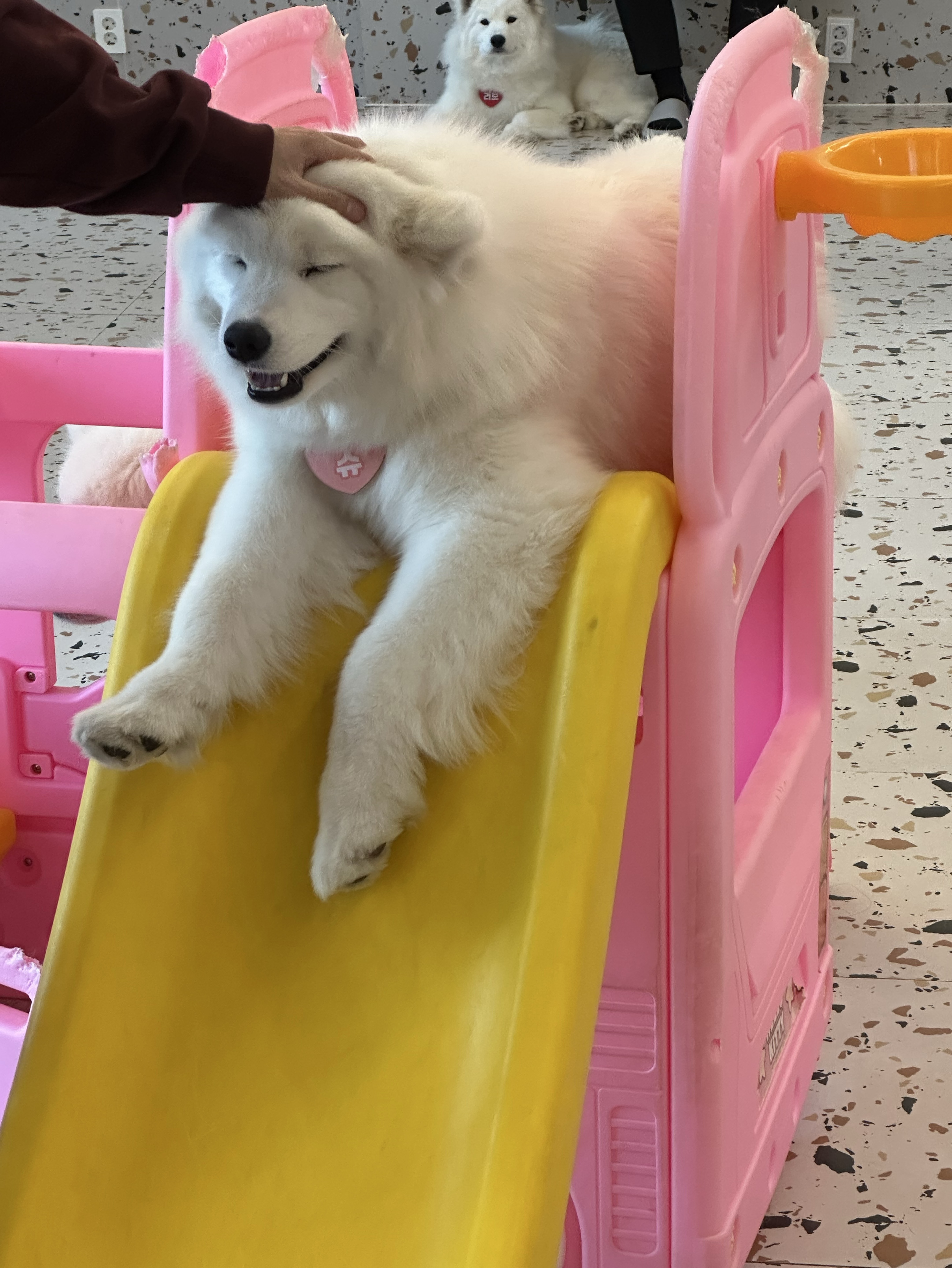 노래나 듣잡
