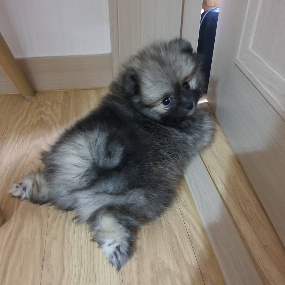화요일 또 다른힐링 💜