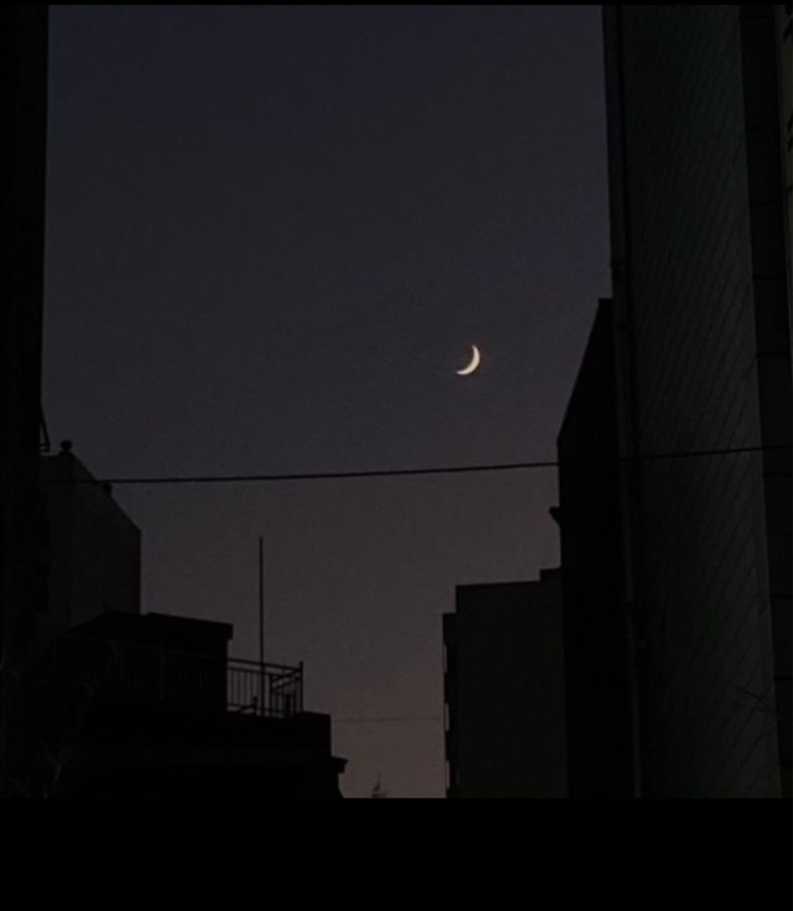 신입1일차 탐방환영🙇