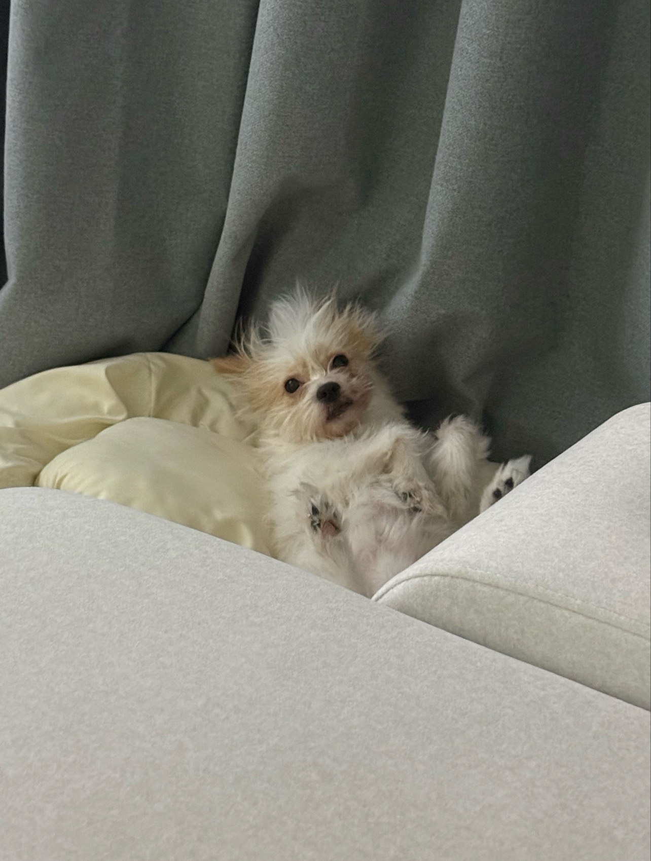소통방송