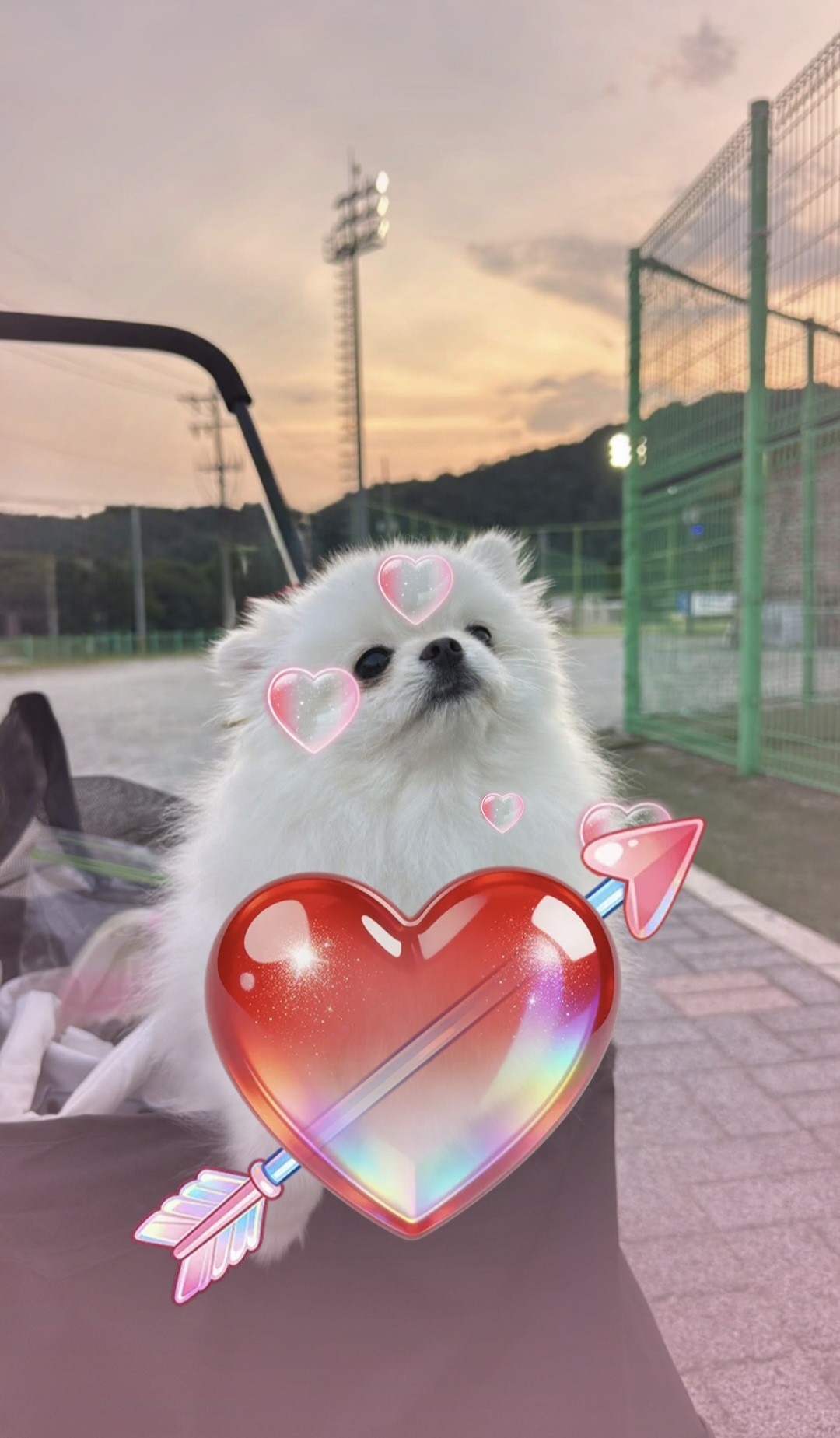 # 흥 안해...