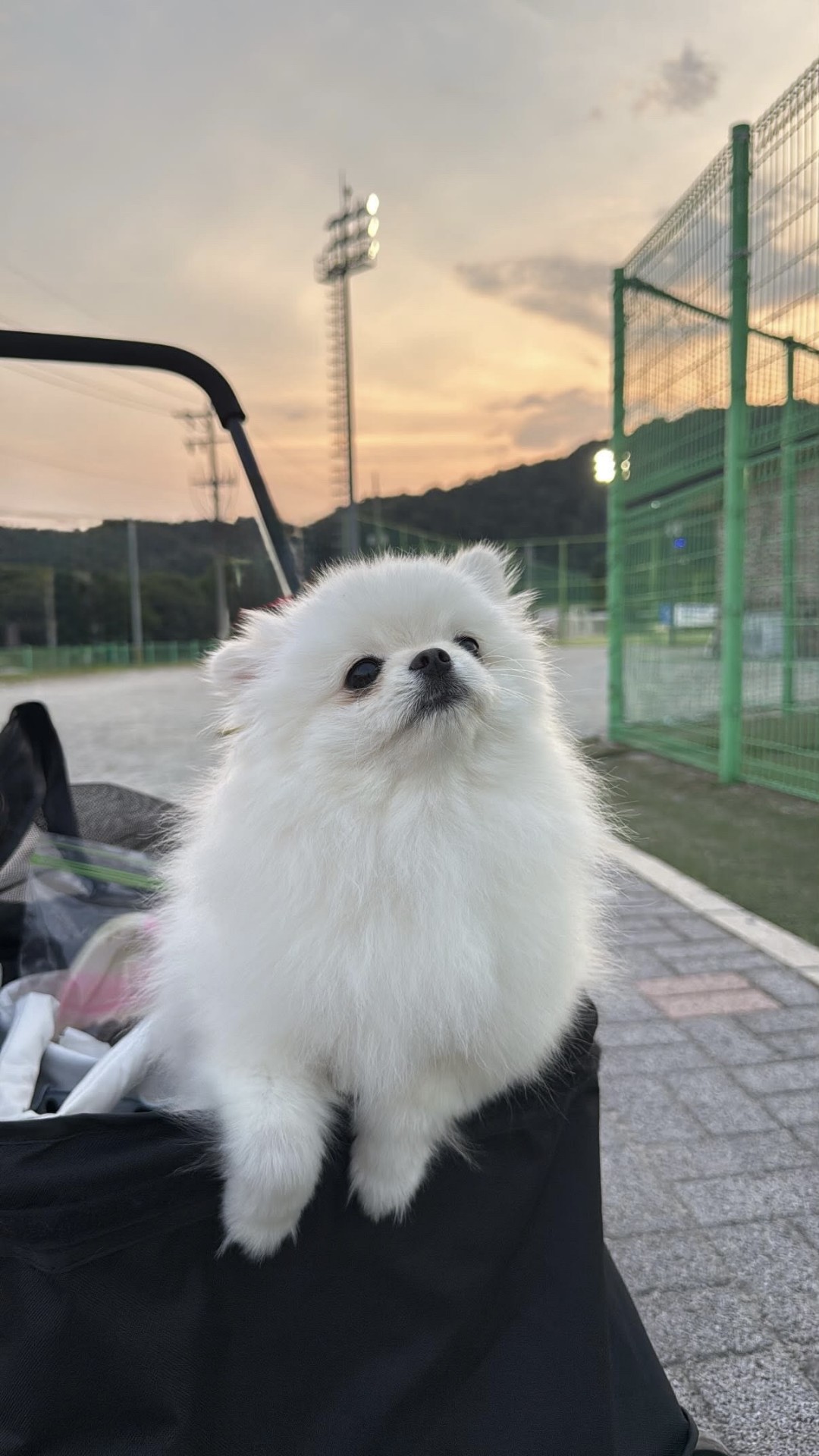 # 흥 안해...