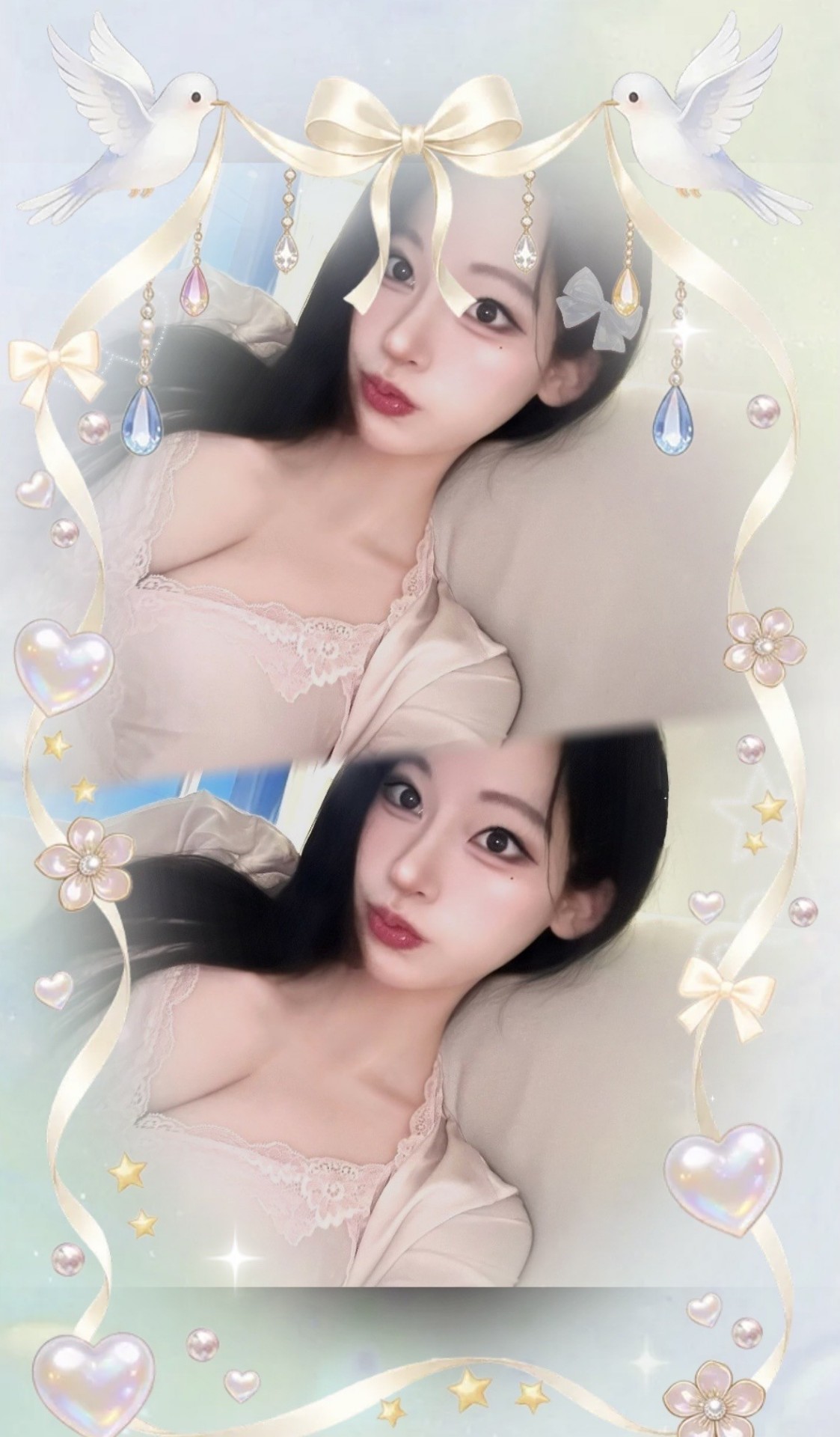 빌려온 고양이