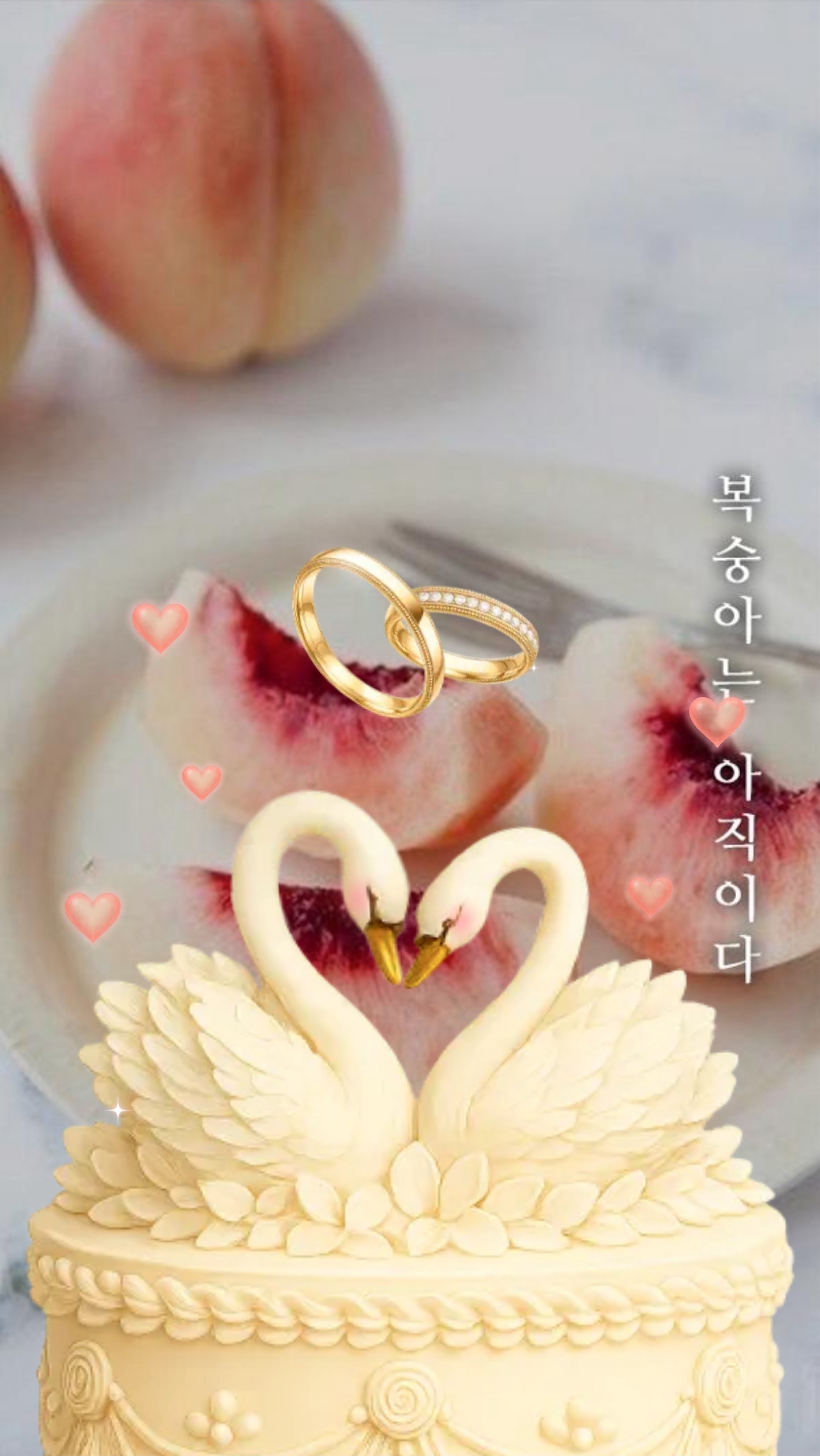 묘운☁️°⊹ 뜻밖의 서점📖