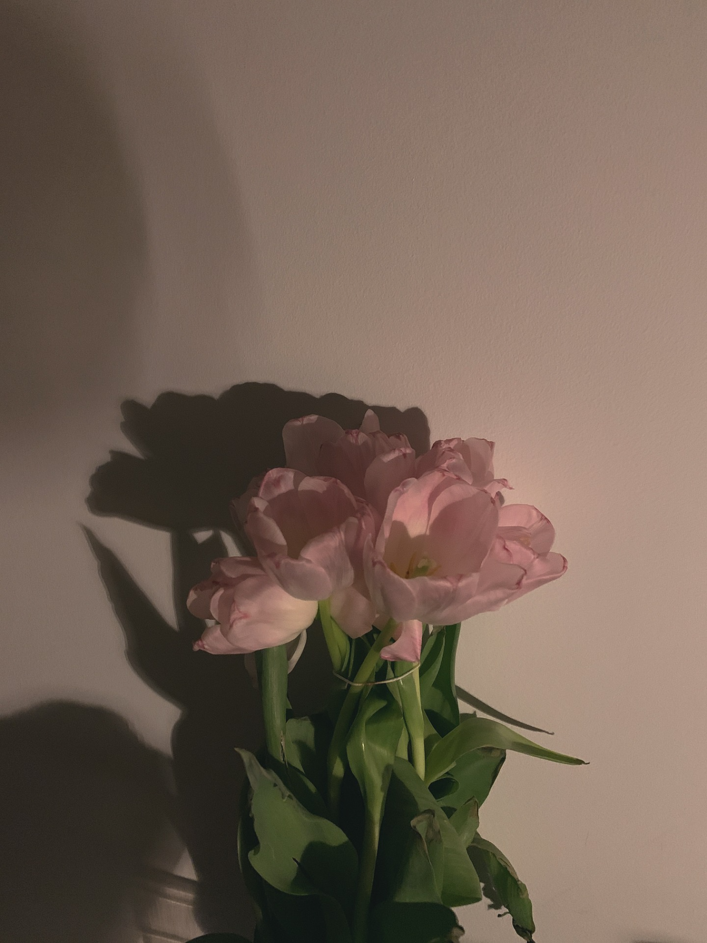 우연을 엮어 운명을 만들고,