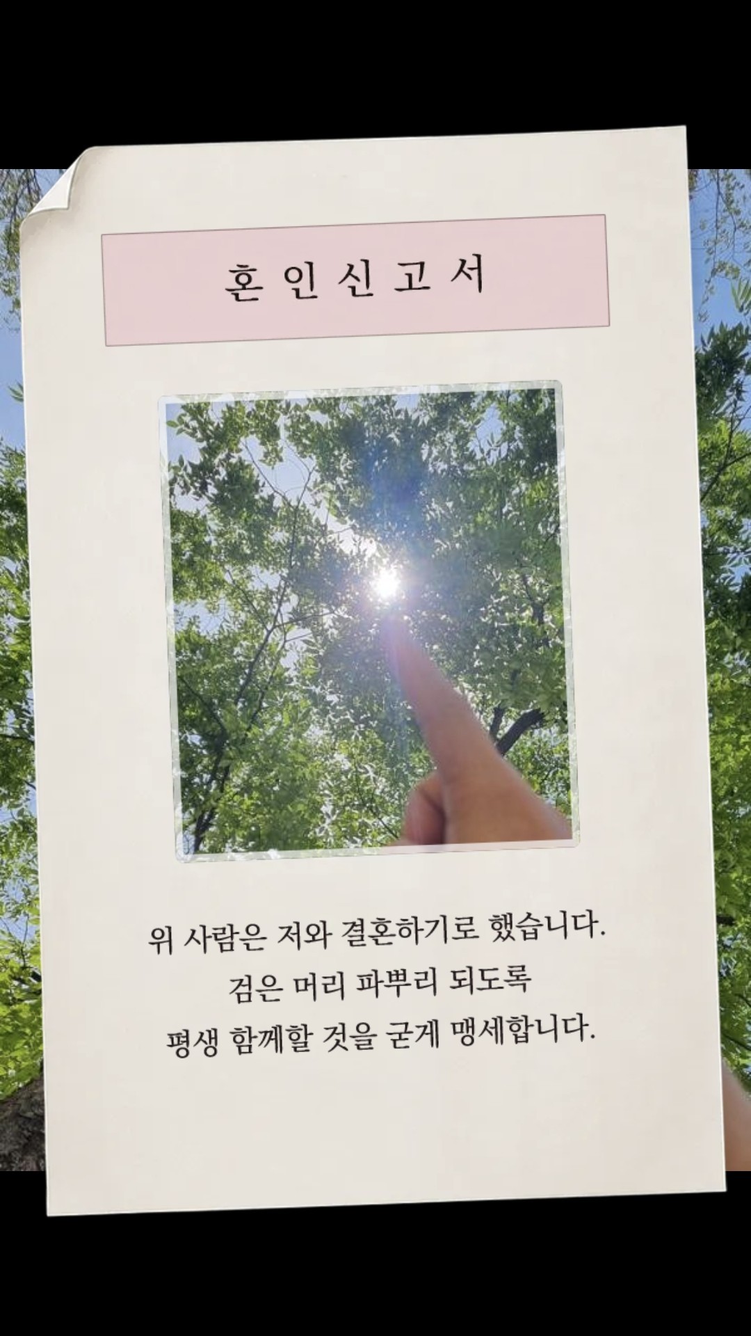 햇살 , 바람 , 김무반 그리고 너
