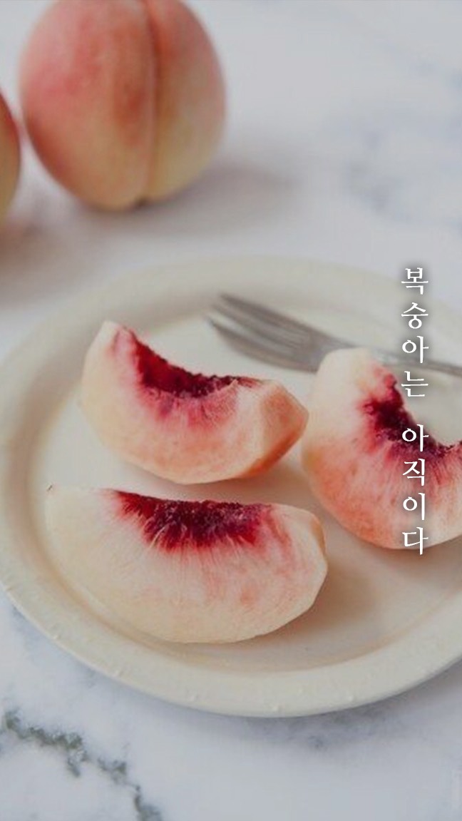 묘운☁️°⊹ 뜻밖의 서점📖