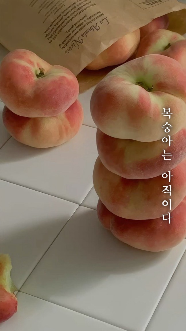 묘운☁️°⊹ 뜻밖의 서점📖