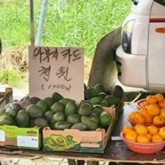 노래들으러온다음에팬도눌러줫으면좋겟다