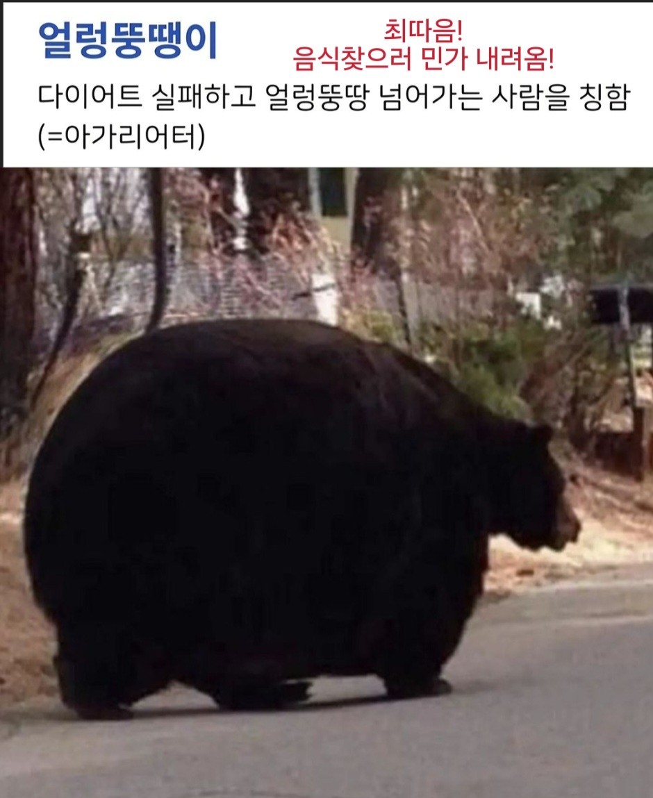 3040+) 노인공격ㄴㄴ 공경좀.👀